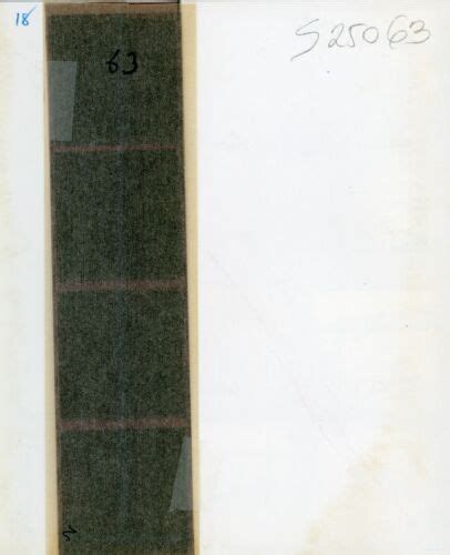 U Original Negative S S Vintage Fine Art Nude Pin Up