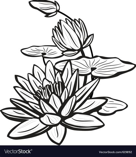 Japanese Lotus Flower Drawing At Getdrawings Free Download