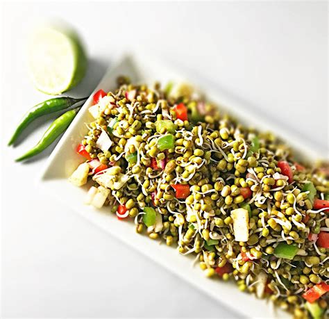 Sprouts Chaat Vegan Nutritious Healthy Salad Knot Bot