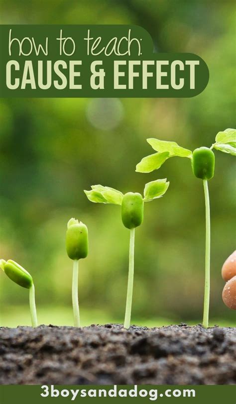 The role of cause and effect in cognitive development – Artofit