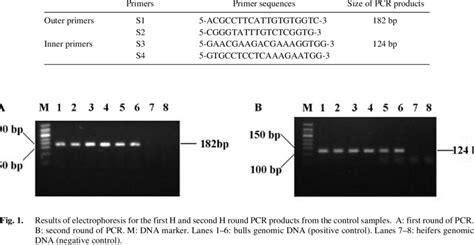 Oligonucleotide Primer Sequences Used In This Study Download