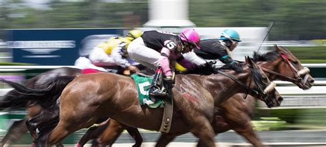 understanding  knowing    trended data experian insights