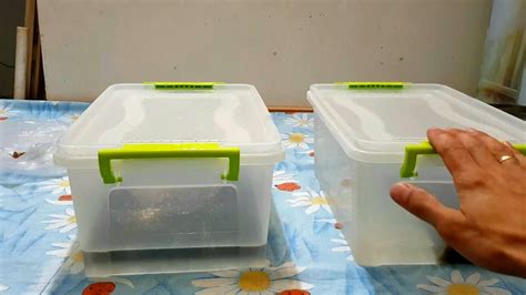 Заготавливаю хорошую кормовую базу для аквариумных рыбок,Изя и Грендаль ...