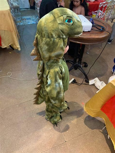 Dinosaur Costume on Carousell