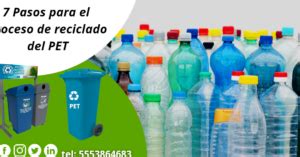 Reciclar El Pet Gu A Paso A Paso Eco