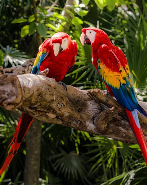 10 Interesting Facts about Honduras - Children's Hunger Fund