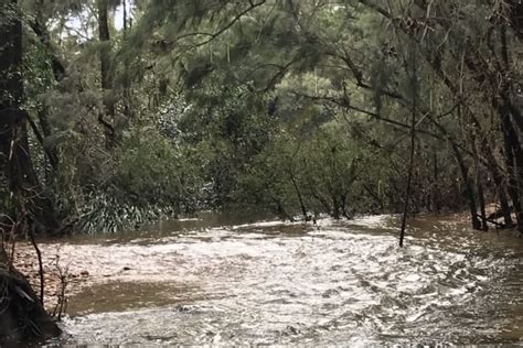 long gully campground anycamp