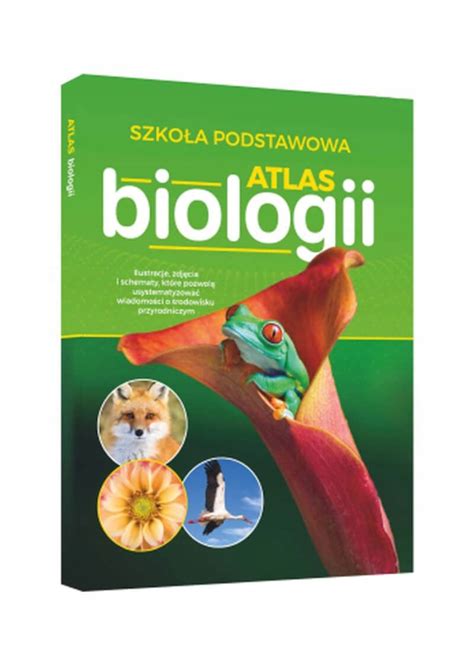 Repetytorium Biologia Szkoła Podstawowa Niska cena na Allegro pl