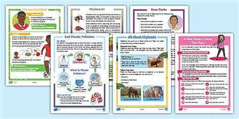 KS1 Non Chronological Reports Resource Examples Pack