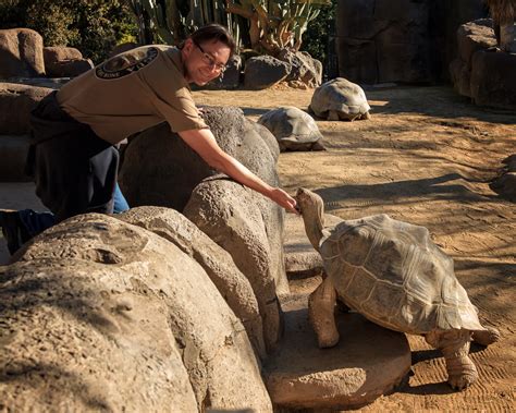 A Day at the San Diego Zoo - Anne McKinnell Photography