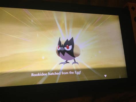 The mission, the nightmares, they’re finally over : r/PokemonSwordAndShield