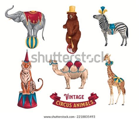 Collection Vintage Circus Animals Hand Drawn Stock Illustration 2218835493 | Shutterstock