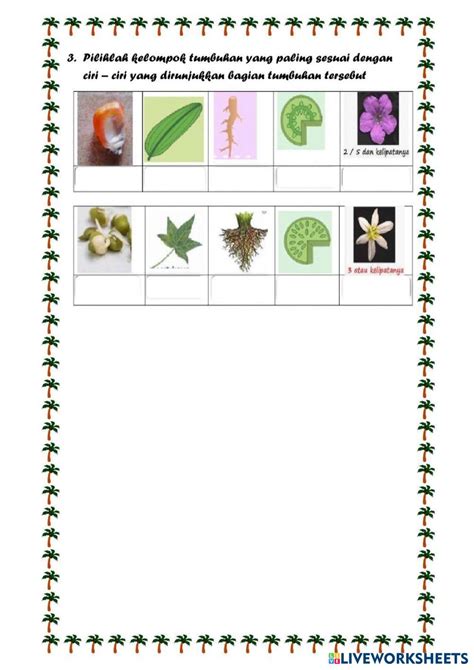 7223105 | Struktur dan Fungsi Tumbuhan | Mochamad