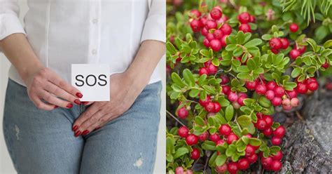 Вкусните плодове, с които преборих цистита | Biotica.bg