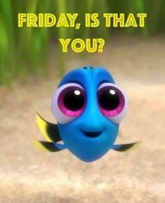 200 Fri-yay ideas | its friday quotes, friday humor, friday quotes funny