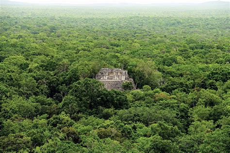 SEDENA CONSTRUYE HOTEL SIN AUTORIZACIÓN EN RESERVA NATURAL Revista