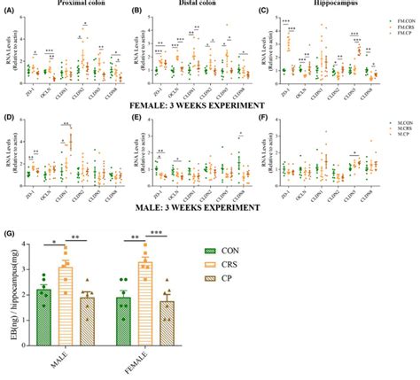 Sex Difference In Prebiotics On Gut And Bloodbrain Barrier Dysfunction Underlying Stress