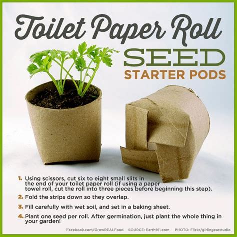 Toilet Paper Roll Seed Starter Pods Save Money By Making Your Own