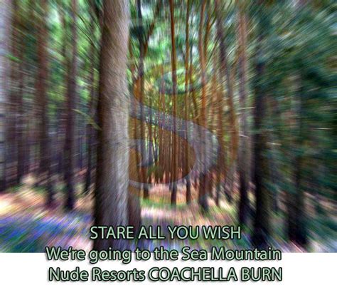 Nude Spa On Twitter Nude COACHELLA