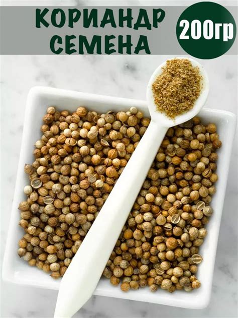 Кориандр семена, 200 гр купить в интернет-магазине Aloreco