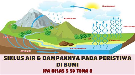 Bagaimana Siklus Air Terjadi Di Alam Kangsos