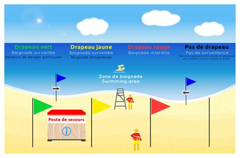 Se Baigner L Oc An Surveillance Des Plages Nageur Sauveteur