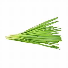 Chives