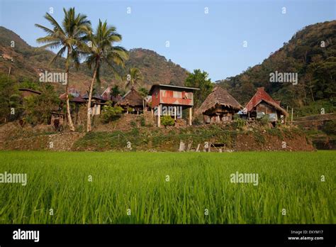 Village Containing The Bangaan Rice Terraces; Bangaan, Luzon ...