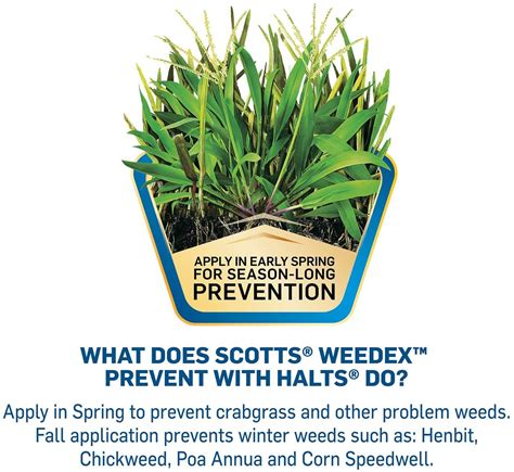 Scotts Weedex Prevent With Halts Crabgrass And Grassy Weed Killer Spring Lawn Control 5 000 Sq