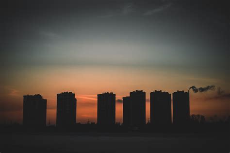 Silhouette Of Trees During Sunset · Free Stock Photo