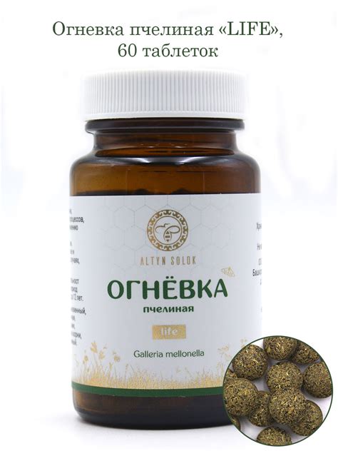 ООО Урал