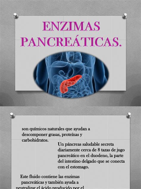 Enzimas Pancreaticas | PDF | Páncreas | Péptido