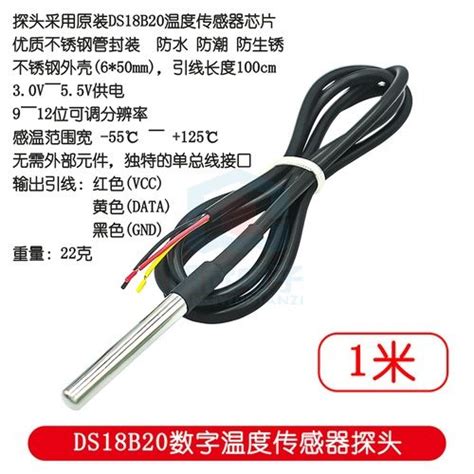 Stainless Steel Encapsulated Waterproof Ds B Temperature Probe