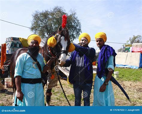 Young Nihang Singhs With Their Horse At Hola Mohalla 2020 Editorial
