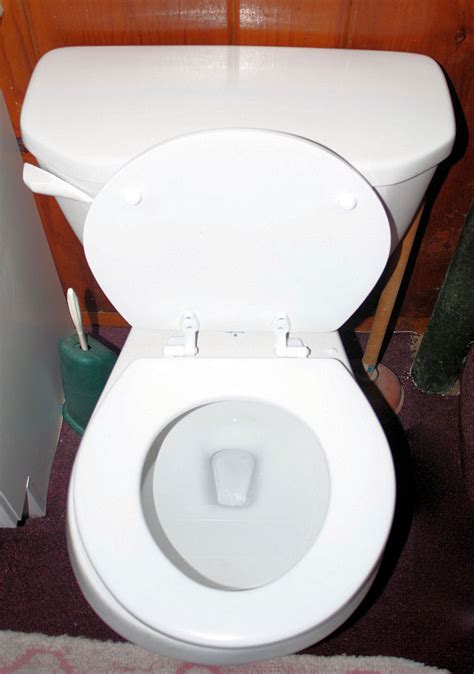 Toilet Free Stock Photo - Public Domain Pictures
