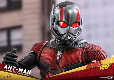 Hot Toys Libera Primeiras Imagens Do Homem Formiga Uniforme Do Seu