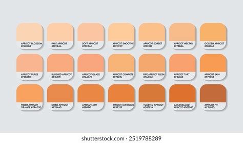 Apricots Color Palette Apricots Color Guide Stock Vector (Royalty Free ...