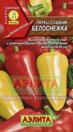 Перец Белоснежка: характеристика и описание сорта, отзывы, урожайность ...
