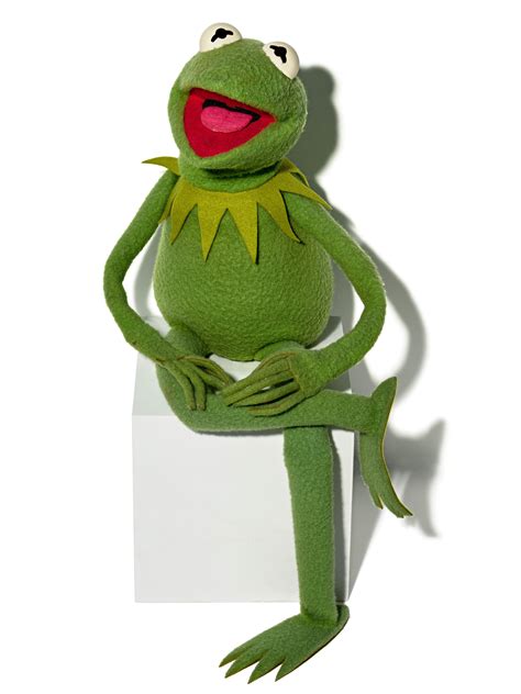 Kermit the Frog Puppet | Smithsonian Institution