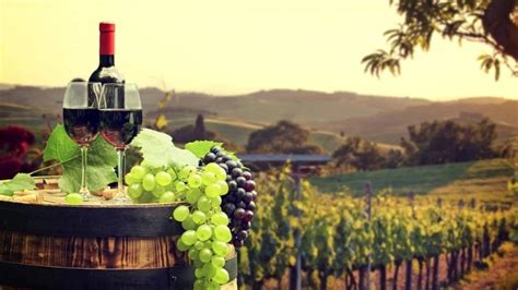 Napa Limo Service | Napa Valley Wine Tours | Napa Valley Car Service