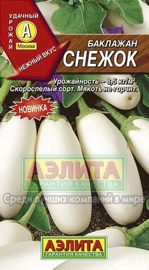 Баклажан Снежок: описание и характеристика сорта, агротехника ...