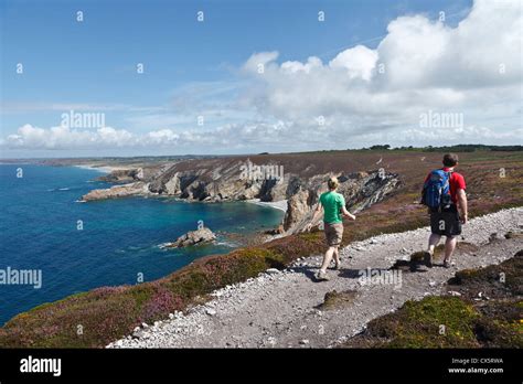 Brittany Coast Wild Flowers Hi Res Stock Photography And Images Alamy