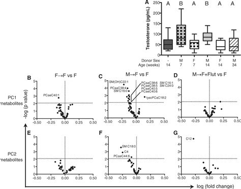 Sex Differences In The Gut Microbiome Drive Hormone Dependent Regulation Of Autoimmunity Science