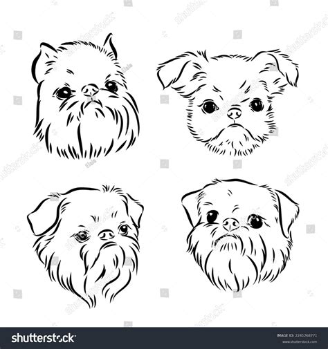 Brussels Griffon Dog Pet Portrait Brussels Stock Vector Royalty Free