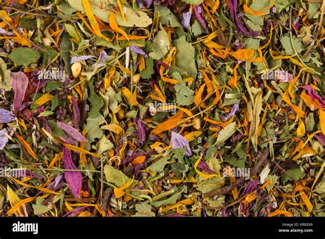 Dried Herbal Tea Leaves Stock Photo Alamy