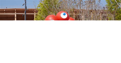 Study‑Buddy Platforms: Experience and Tips for 2025?? 2