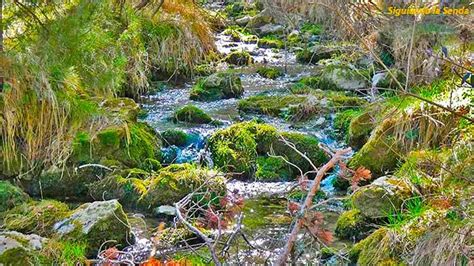 Nacimiento del río Mijares en Cedrillas Teruel 2020 Río