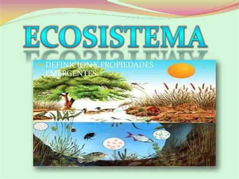 Ppt Ecosistema Powerpoint Presentation Free Download Id3234535