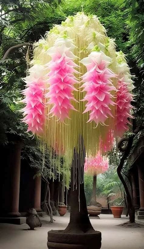 Strange Flowers Unusual Flowers Unusual Plants Rare Flowers Exotic