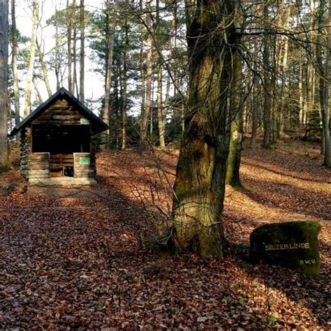 Wandern Pf Lzer Rundwanderung Mit Einkehr Bethof Tour